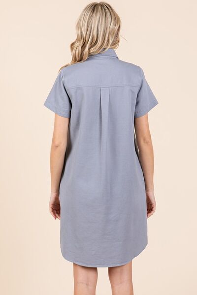 Sophisticated Dress with a Clean Classic Look