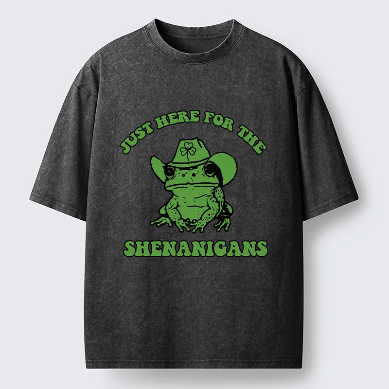Vintage Inspired T-Shirt