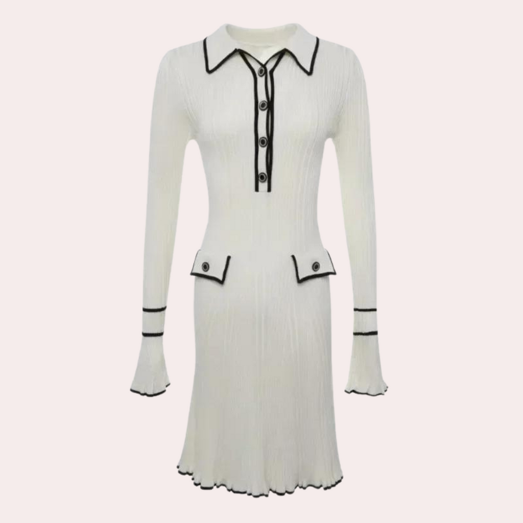 Sophisticated Dress with a Clean Classic Look