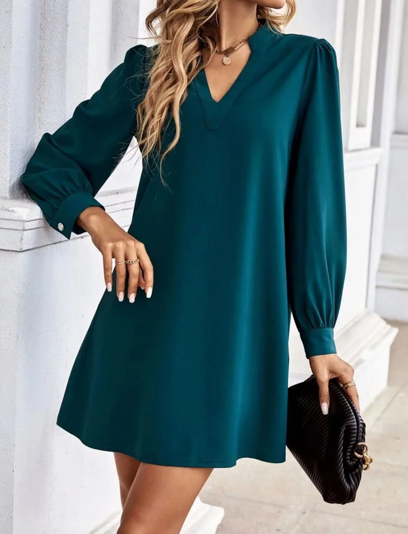 Thoughtfully Designed Dress