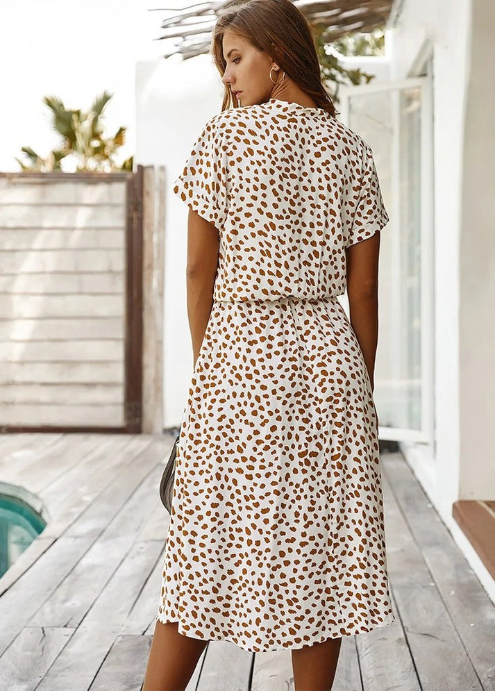 Well Tailored Dress with a Graceful Silhouette