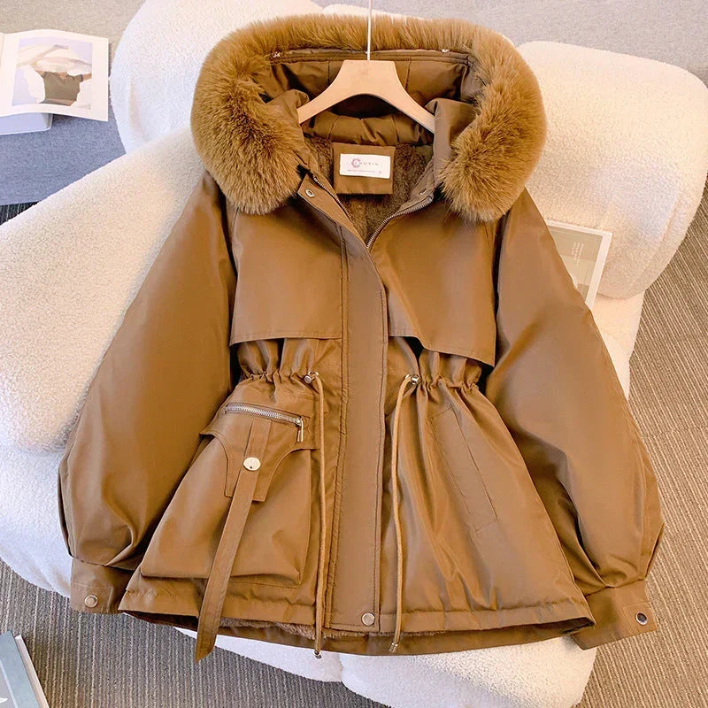 Gracefully Designed Jacket